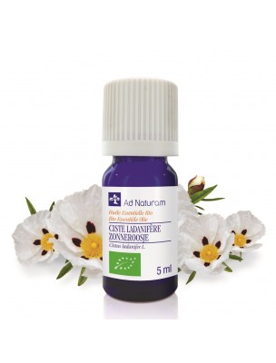 Image de Ciste Ladanifère Bio - Huile essentielle de Cistus ladaniferus 5 ml - Ad Naturam depuis Ail Olivier Aubépine Bio - Diétaroma