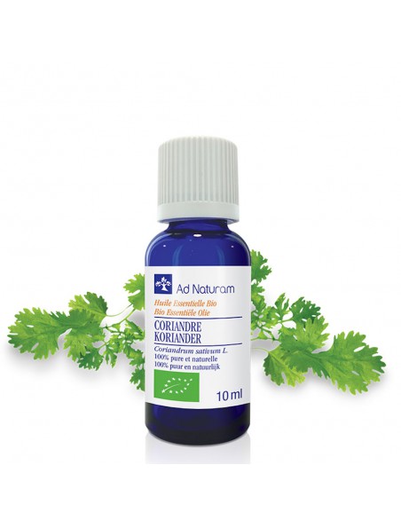 Achetez Coriandre Bio - Huile essentielle de Coriandrum sativum 10 ml - Ad Naturam à l'herboristerie Louis Image principale de Coriandre Bio - Huile essentielle de Coriandrum sativum 10 ml - Ad Naturam
