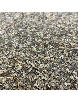 Image de Maté Menthe Bio - Thé Bien-être du Brésil 70g depuis Matcha Coco Bio - Boisson instantanée 150 g - Aromandise