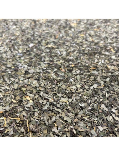 Achetez Maté Menthe Bio - Thé Bien-être du Brésil 70g à l'herboristerie Louis Image principale de Maté Menthe Bio - Thé Bien-être du Brésil 70g