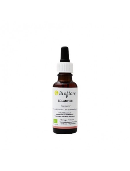 Achetez Eglantier Bio - Huile végétale Rosa canina 30 ml - Bioflore à l'herboristerie Louis Image principale de Eglantier Bio - Huile végétale Rosa canina 30 ml - Bioflore