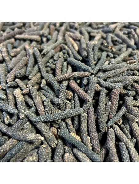 Achetez Poivre Long - Fruit 100g - Tisane de Piper longum à l'herboristerie Louis Image principale de Poivre Long - Fruit 100g - Tisane de Piper longum