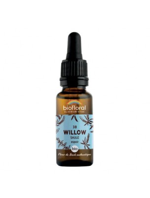 Image de Willow Saule n°38 - Courage et espoir Bio aux fleurs de Bach 20 ml - Biofloral depuis Achetez Walnut n°33 - Calme et Équilibre Bio aux Fleurs de Bach - Biofloral