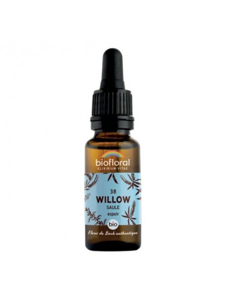 Achetez Willow Saule n°38 - Courage et espoir Bio aux fleurs de Bach 20 ml - Biofloral à l'herboristerie Louis Image principale de Willow Saule n°38 - Courage et espoir Bio aux fleurs de Bach 20 ml - Biofloral