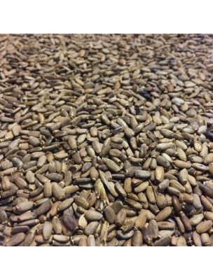 Image de Chardon-Marie Bio - Fruit 100g - Tisane de Silybum marianum L. depuis Prêle Bio - Partie aérienne coupée 100g - Tisane d'Equisetum arvense L.