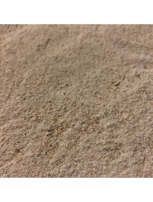 Image de Ananas - Tige Poudre 100g - Ananassa sativa depuis Fem50+GEM GC22 Bio - Herbalgem : calmez vos symptômes de ménopause