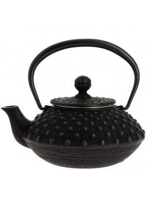 Image de Théière en Fonte Iwachu Kanbin Noire 320 ml avec son filtre depuis Masala Tchaï Bio - Thé Noir Parfumé | Les Jardins de Gaïa