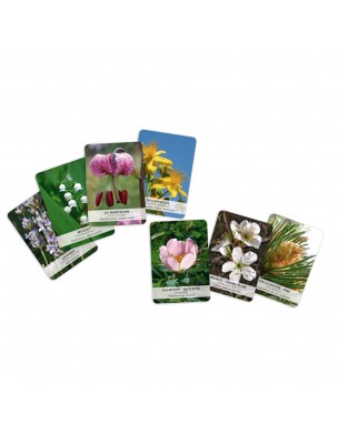 Image 75730 supplémentaire pour Jeu de Cartes - 96 Elixirs Floraux - Philippe Deroide