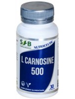 Image de L Carnosine 500 - Antioxydant 30 comprimés - SFB Laboratoires depuis Achetez des acides aminés de qualité supérieure