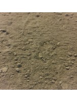 Image de Ail des Ours Bio - Feuille en poudre 100g - Tisane d'Allium ursinum depuis Tisanes unitaires de qualité en ligne - Commandez maintenant !