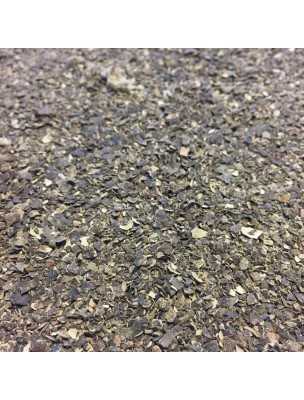 Image de Fucus Bio - Thalle coupé 100g - Tisane Fucus serratus depuis Thym Bio - Feuilles 100g