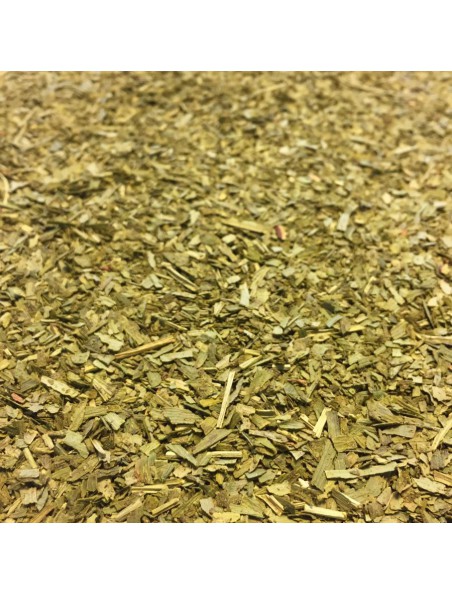 Achetez Ginkgo Bio - Feuilles coupées 100g - Tisane de Ginkgo biloba L. à l'herboristerie Louis Image principale de Ginkgo Bio - Feuilles coupées 100g - Tisane de Ginkgo biloba L.