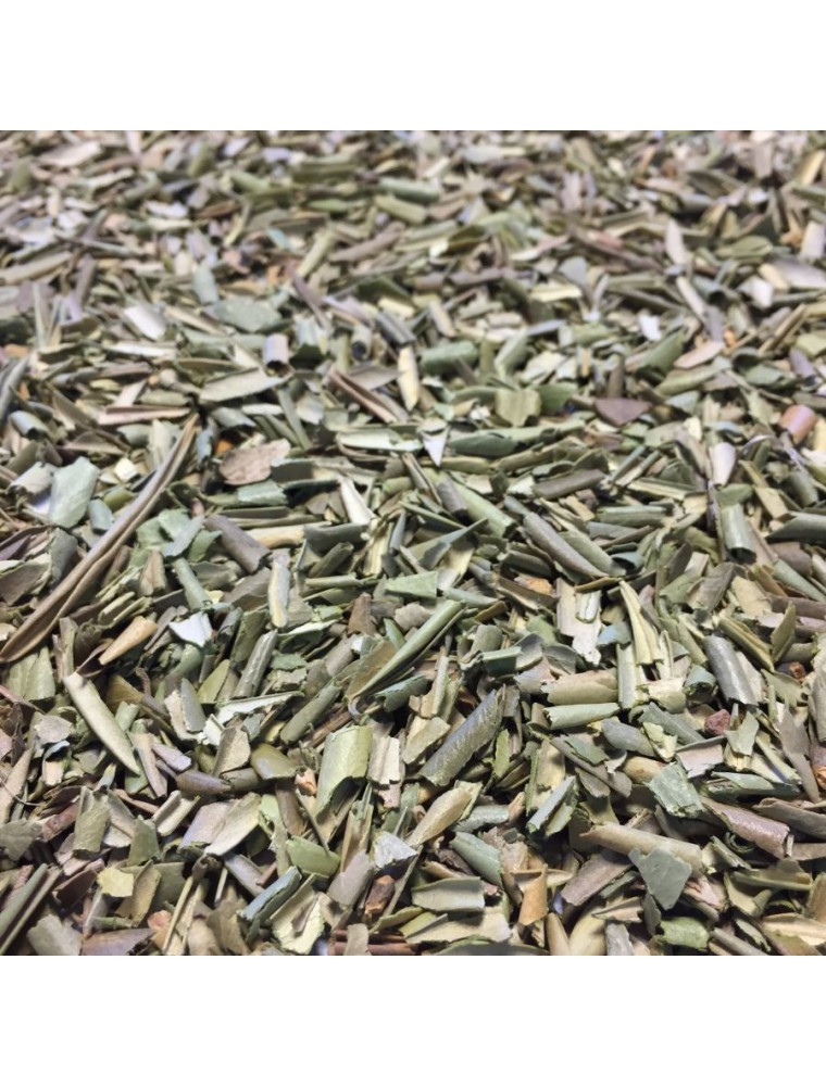 Image principale de la modale pour Olivier Bio - Feuilles coupées 100g - Tisane d'Olea europaea L.