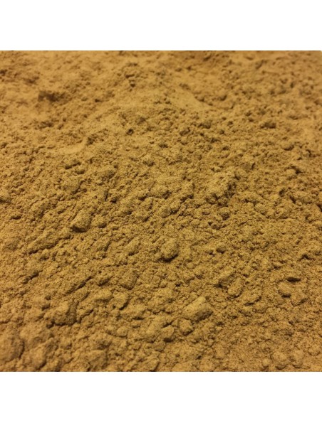 Achetez Guarana Bio - Graine en poudre 100g - Paullinia cupana Kunth. à l'herboristerie Louis Image principale de Guarana Bio - Graine en poudre 100g - Paullinia cupana Kunth.