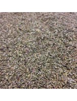 Image de Thym Bio - Feuilles 100g - Tisane de Thymus vulgaris L depuis Tisanes en T - Découvrez notre sélection de tisanes en vrac et en sachets
