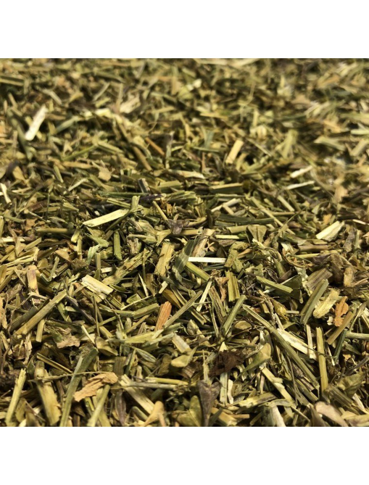Image principale de la modale pour Bourse à pasteur - Partie aérienne coupée 100g - Tisane de Capsella bursa-pastoris
