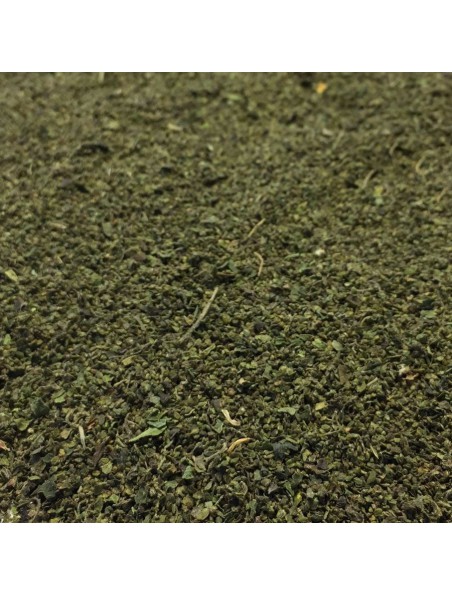 Achetez Ortie Piquante - Fruit 100g - Tisane Urtica dioica L. à l'herboristerie Louis Image principale de Ortie Piquante - Fruit 100g - Tisane Urtica dioica L.