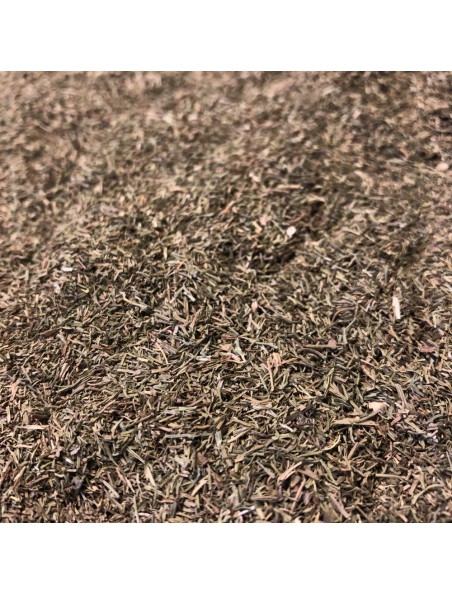 Achetez Aneth - Feuilles coupées 100g - Tisane d'Anethum graveolens L. à l'herboristerie Louis Image principale de Aneth - Feuilles coupées 100g - Tisane d'Anethum graveolens L.