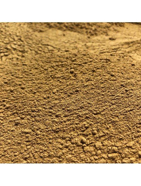 Achetez Chicorée Bio - Racine poudre 100g - Tisane Cichorium intybus L. à l'herboristerie Louis Image principale de Chicorée Bio - Racine poudre 100g - Tisane Cichorium intybus L.
