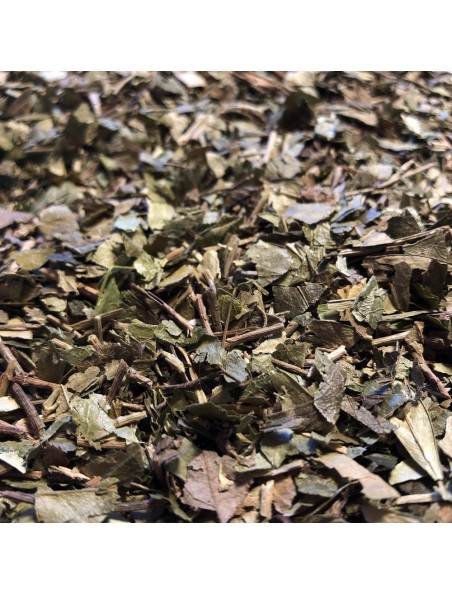 Achetez Pervenche petite - Feuille coupée 100g - Vinca minor à l'herboristerie Louis Image principale de Pervenche petite - Feuille coupée 100g - Vinca minor