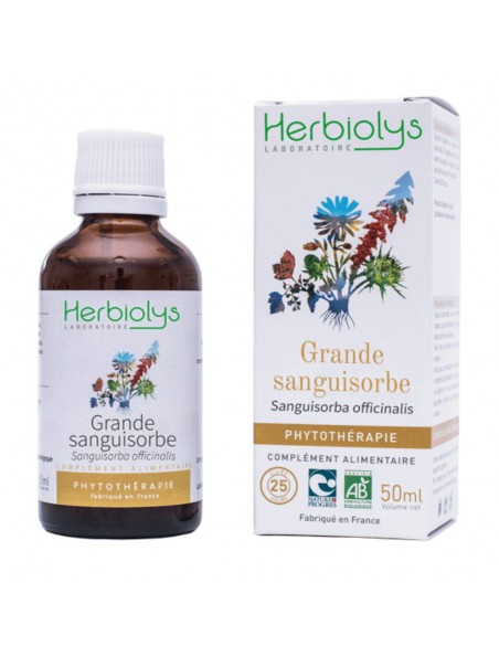 Achetez Grande Sanguisorbe - Diarrhée et Digestion Teinture-mère Sanguisorba officinalis 50 ml - Herbiolys à l'herboristerie Louis Image principale de Grande Sanguisorbe - Diarrhée et Digestion Teinture-mère Sanguisorba officinalis 50 ml - Herbiolys