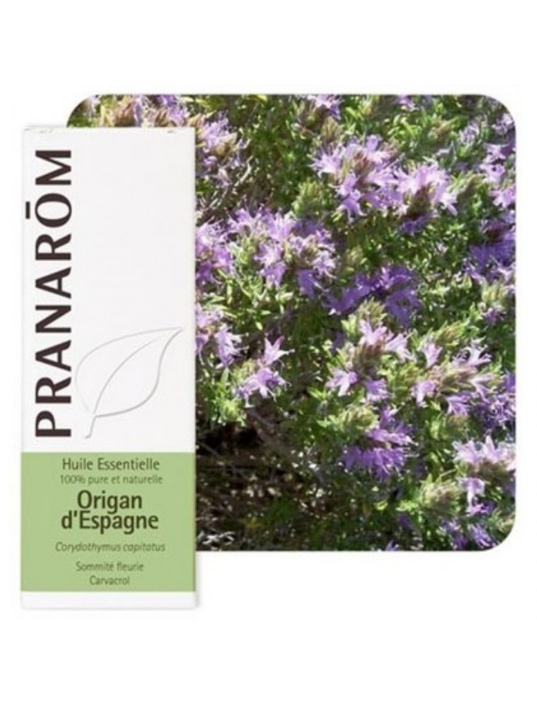 Image principale de la modale pour Origan d'Espagne - Huile essentielle Corydothymus capitatus 5 ml - Pranarôm