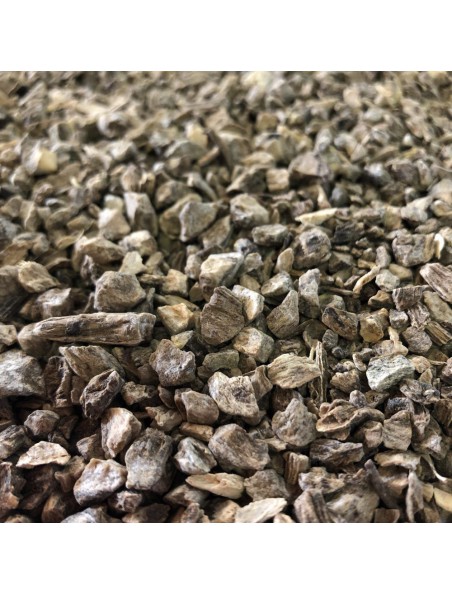 Achetez Aunée Officinale - Racine coupée 100g - Tisane d'Inula helenium à l'herboristerie Louis Image principale de Aunée Officinale - Racine coupée 100g - Tisane d'Inula helenium