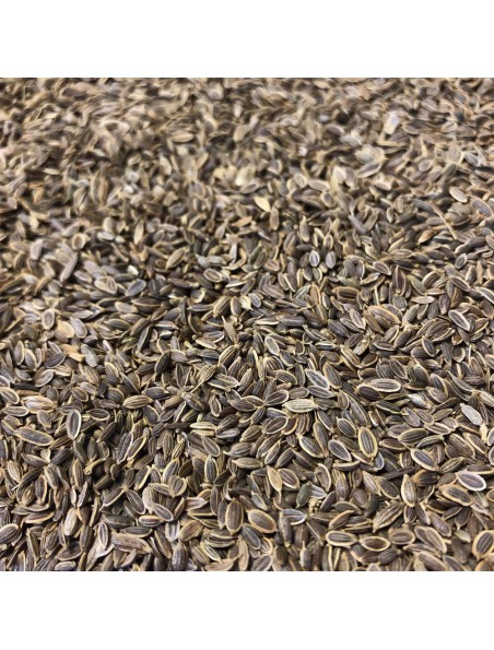 Achetez Aneth - Fruit 100g - Tisane d'Anethum graveolens à l'herboristerie Louis Image principale de Aneth - Fruit 100g - Tisane d'Anethum graveolens