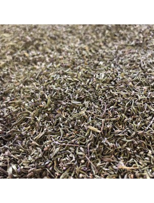 Image de Thym "Sud France" Bio - Feuille entière 100 g - Tisane de Thymus vulgaris depuis Aromaforce spray nasal Bio 15 ml - Pranarôm