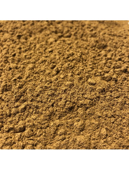 Achetez Giroflier Clou Bio - Poudre 100 g - Tisane de Syzygium aromaticum (L.) Merr. à l'herboristerie Louis Image principale de Giroflier Clou Bio - Poudre 100 g - Tisane de Syzygium aromaticum (L.) Merr.