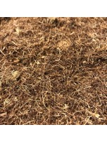 Image de Maïs - Stigmates (Barbe de maïs) 100g - Tisane de Zea mays depuis Tisanes en M