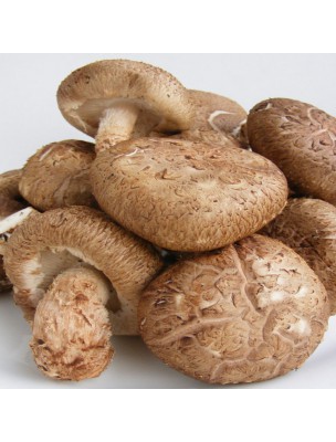 Image 26318 supplémentaire pour Shiitaké - Morceaux coupés 100g - Tisane de Cortinellus shiitake