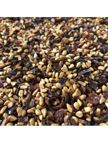 Achetez Cynorrhodon Bio - Baie avec graine concassée 100g - Tisane de Rosa canina L. à l'herboristerie Louis Image principale de Cynorrhodon Bio - Baie avec graine concassée 100g - Tisane de Rosa canina L.