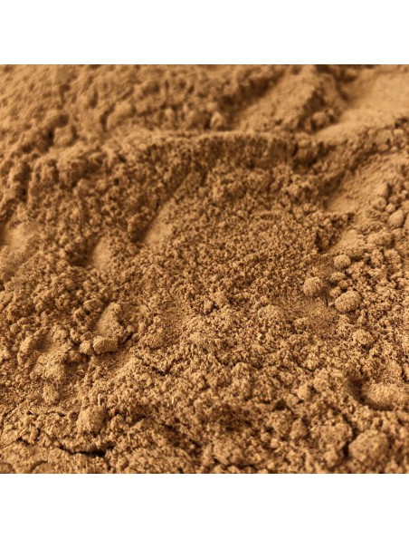 Achetez Galanga - Racine poudre 100g - Tisane d'Alpinia officinarum à l'herboristerie Louis Image principale de Galanga - Racine poudre 100g - Tisane d'Alpinia officinarum