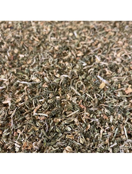 Achetez Mouron des Oiseaux Bio - Partie aérienne 100g -Tisane de Stellaria media L. à l'herboristerie Louis Image principale de Mouron des Oiseaux Bio - Partie aérienne 100g -Tisane de Stellaria media L.