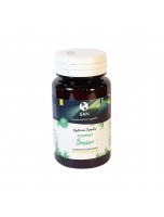 Image de Probiotiques Senior - Poudre soluble - San depuis Prébiotiques et Probiotiques : des alliés pour votre santé (2)
