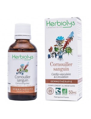 Image de Cornouiller sanguin Macérât de bourgeon Bio - Cardio-Vasculaire et Circulation 50 ml - Herbiolys depuis Amandier Macérât de bourgeon Bio - Herbiolys