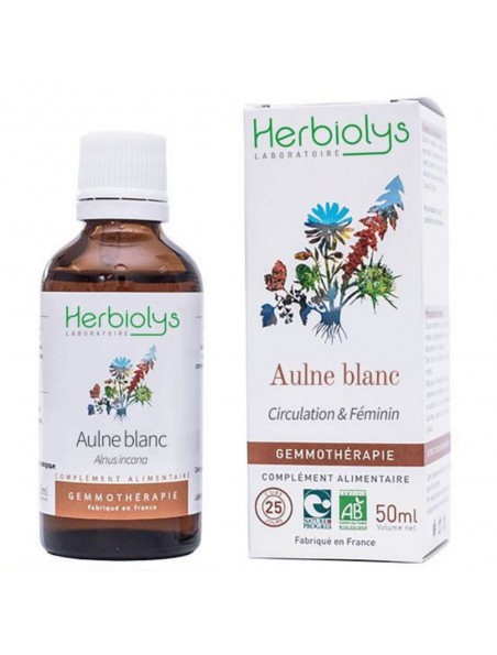 Achetez Aulne Blanc Macérât de bourgeon Bio - Respiration et Circulation 50 ml - Herbiolys à l'herboristerie Louis Image principale de Aulne Blanc Macérât de bourgeon Bio - Respiration et Circulation 50 ml - Herbiolys