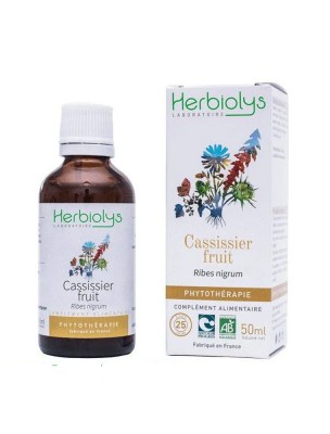 Image de Cassissier (Fruit) Bio - Teinture-mère Ribes nigrum 50 ml - Herbiolys depuis Ail commun Bio - Circulation Teinture-mère Allium sativum 50 ml - Herbiolys