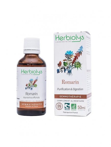 Achetez Romarin Macérât de jeune pousse Bio - Digestion et Purification 50 ml - Herbiolys à l'herboristerie Louis Image principale de Romarin Macérât de jeune pousse Bio - Digestion et Purification 50 ml - Herbiolys