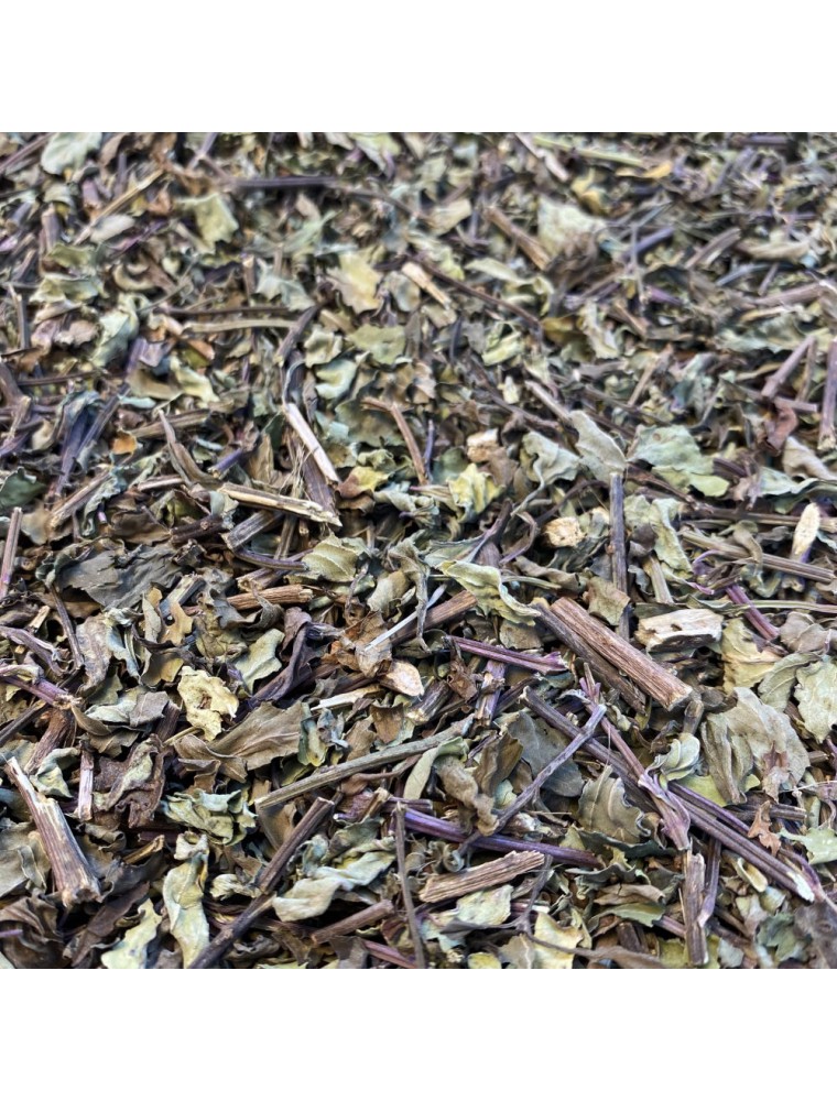 Image principale de la modale pour Orthosiphon Bio - Feuilles 50 g - Tisane d'Orthosiphon aristatus (Blume)