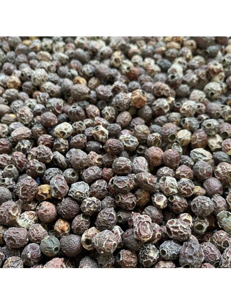 Achetez Aubépine - Fruit (Cenelle) 100g - Tisane de Crataegus monogyna Jacq. à l'herboristerie Louis Image principale de Aubépine - Fruit (Cenelle) 100g - Tisane de Crataegus monogyna Jacq.
