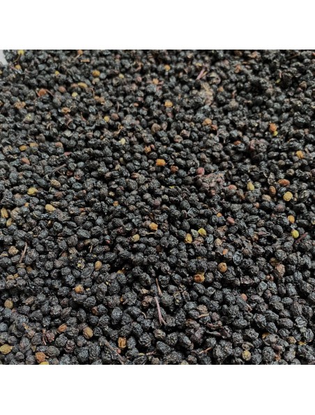 Achetez Sureau - Baie 100g - Tisane de Sambucus nigra L. à l'herboristerie Louis Image principale de Sureau - Baie 100g - Tisane de Sambucus nigra L.