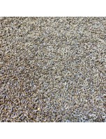 Image de Anis vert Bio - Fruit 100g - Tisane Pimpinella anisum L. depuis Achetez vos Tisanes en ligne (2)