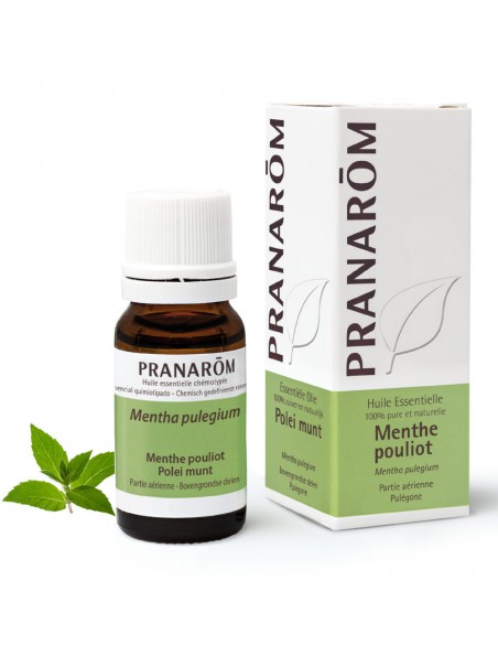 Achetez Menthe Pouliot - Huile essentielle Mentha pulegium 10 ml - Pranarôm à l'herboristerie Louis Image principale de Menthe Pouliot - Huile essentielle Mentha pulegium 10 ml - Pranarôm