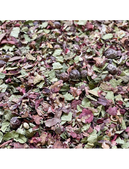 Achetez Tisane Circulation N°1 Jambes Légères - Mélange de Plantes - 100 grammes à l'herboristerie Louis Image principale de Tisane Circulation N°1 Jambes Légères - Mélange de Plantes - 100 grammes