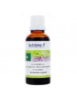 Image de Alchémille Bio - Cycle menstruel Teinture-mère d'Alchemilla vulgaris 100 ml - Ladrôme depuis Teintures mères en A