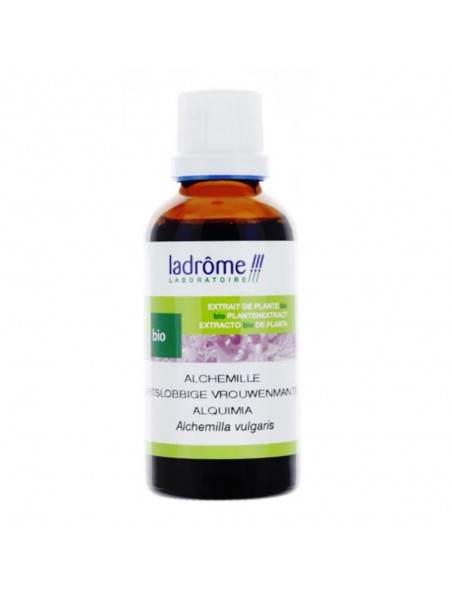 Achetez Alchémille Bio - Cycle menstruel Teinture-mère d'Alchemilla vulgaris 100 ml - Ladrôme à l'herboristerie Louis Image principale de Alchémille Bio - Cycle menstruel Teinture-mère d'Alchemilla vulgaris 100 ml - Ladrôme