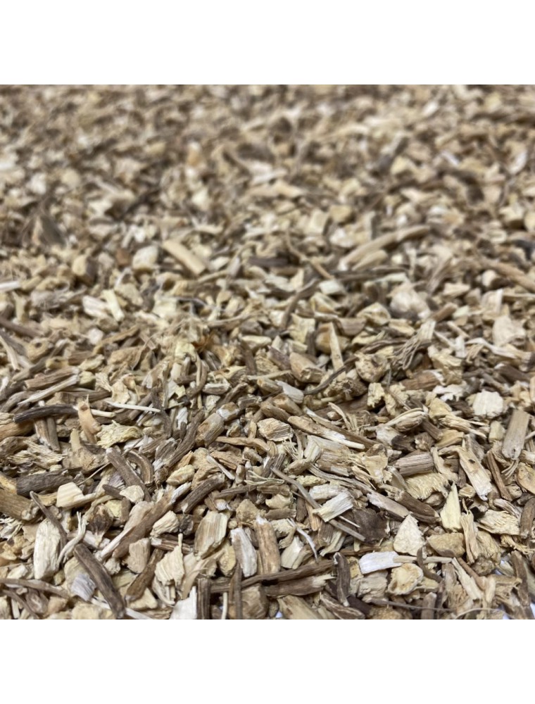 Image principale de la modale pour Fragon (Petit Houx) Bio - Racine coupée 100g - Tisane de Ruscus aculeatus L.
