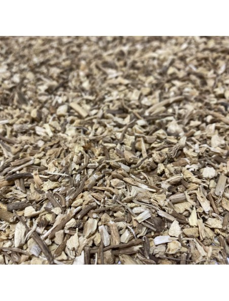 Achetez Fragon (Petit Houx) Bio - Racine coupée 100g - Tisane de Ruscus aculeatus L. à l'herboristerie Louis Image principale de Fragon (Petit Houx) Bio - Racine coupée 100g - Tisane de Ruscus aculeatus L.